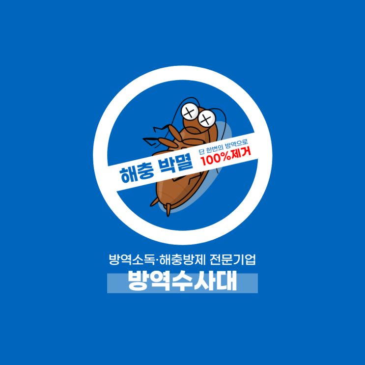 빈대 방역! 특수해충 전문방역업체 방역수사대에서 완전퇴치했어요!