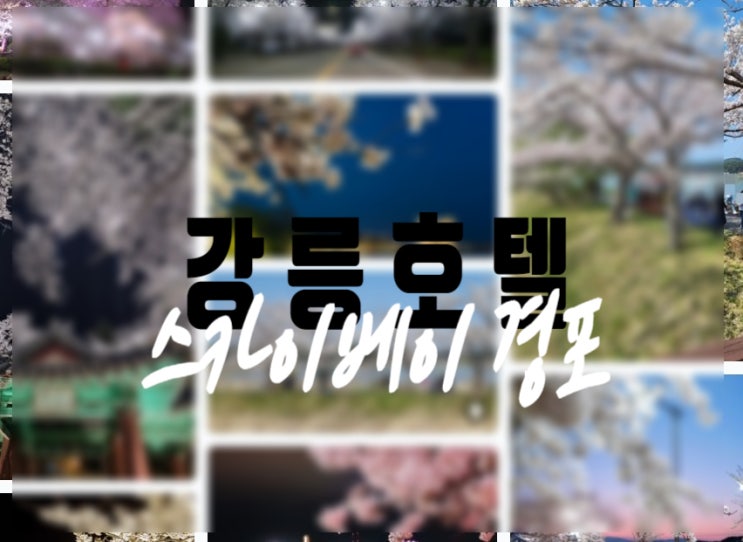  강릉 여행 호텔 스카이베이 경포  호수전망 vs 오션뷰 객실 선택은~?