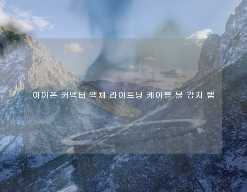 아이폰 커넥터 액체 라이트닝 케이블 물 감지 탭
