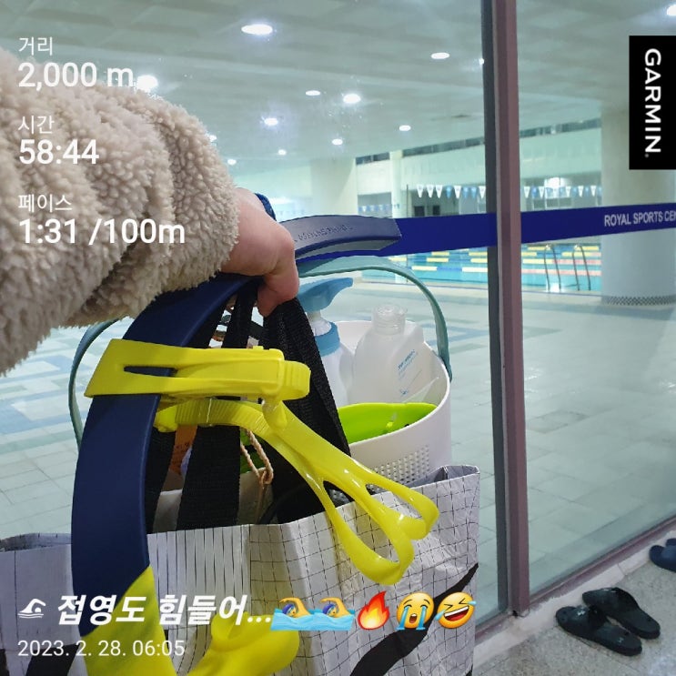  [수영일기] 2월 28일 매일매일 수영