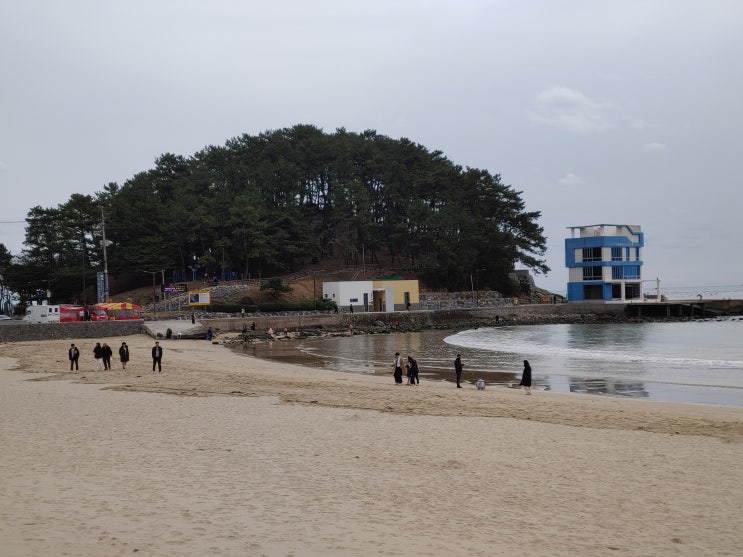 부산광역시 여행 (송정해수욕장,죽도공원,송정항,송정역) 부산광역시 여행 (송정해수욕장,죽도공원,송정항,송정역)