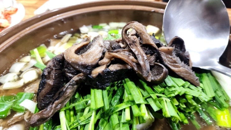  안산 사동 맛집 산촌오리참옻집에서 회식했어요!(+가족식사, 능이백숙, 로스구이)