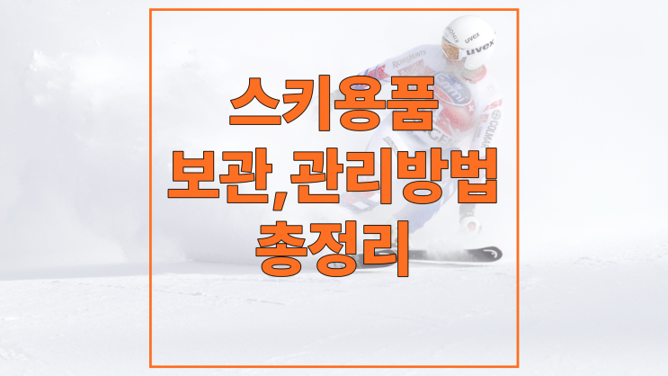  대구 스키보관, 관리방법 총정리