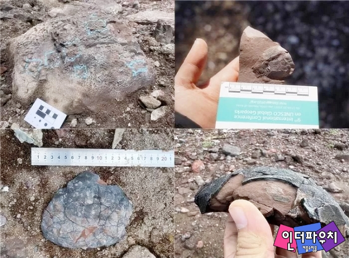 '공룡알 화석' 무더기 발견된 전남 신안 해안가