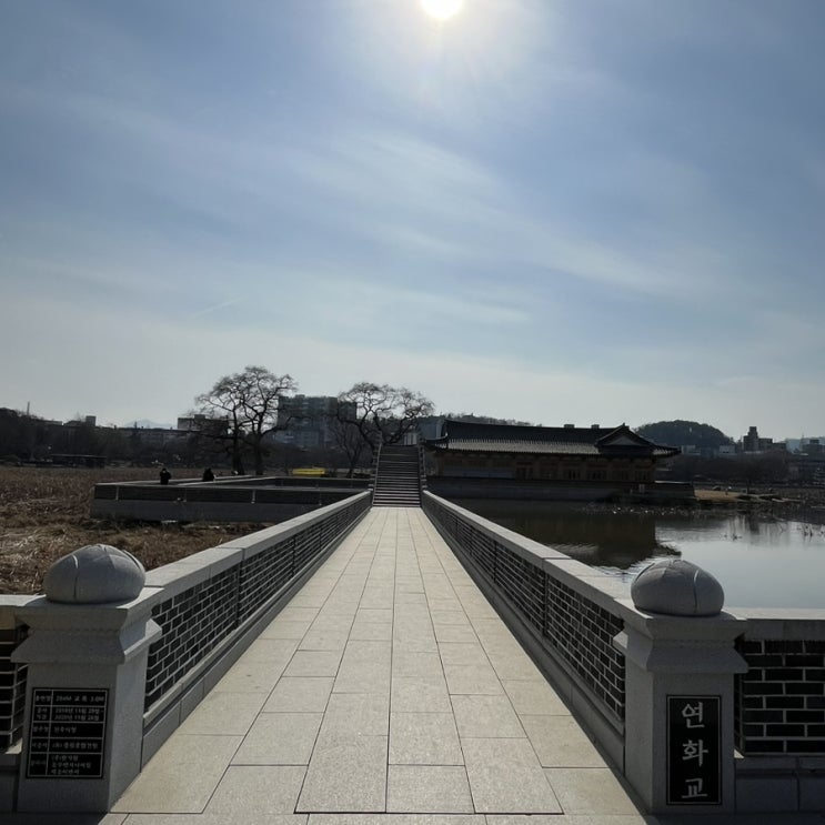  산책도 좋고 아이와 놀기도 좋은 “덕진 공원”