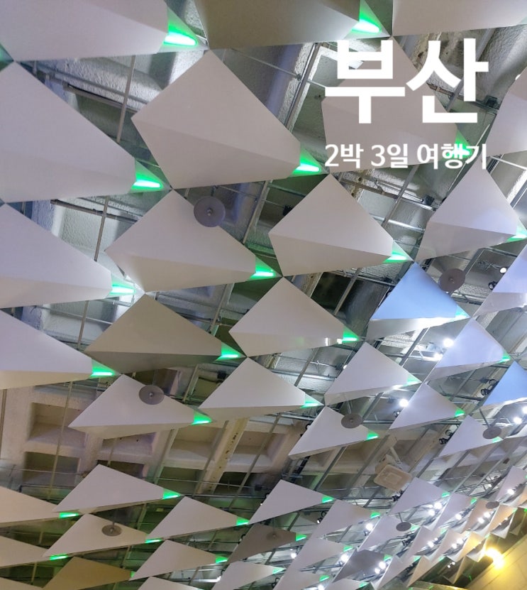  [부산 2박 3일] 비행기 타고 부산 가기 +음식! (송정 3대 국밥, 오프커스 카페)