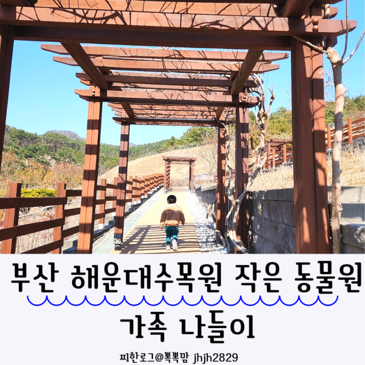  부산 해운대수목원 작은 동물원, 가족 나들이 다녀오기 좋아요