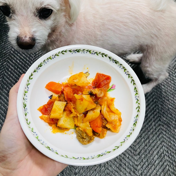  강아지 마녀스프 만들기