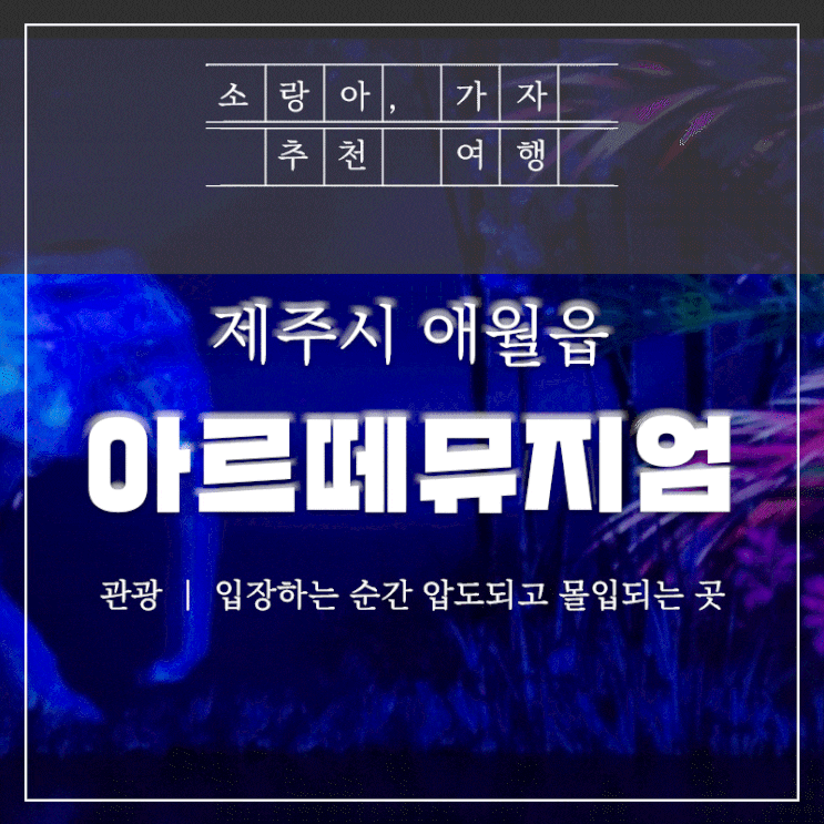  제주 아르떼뮤지엄 - 아이와 살아 움직이는 전시관에 다녀왔어요.