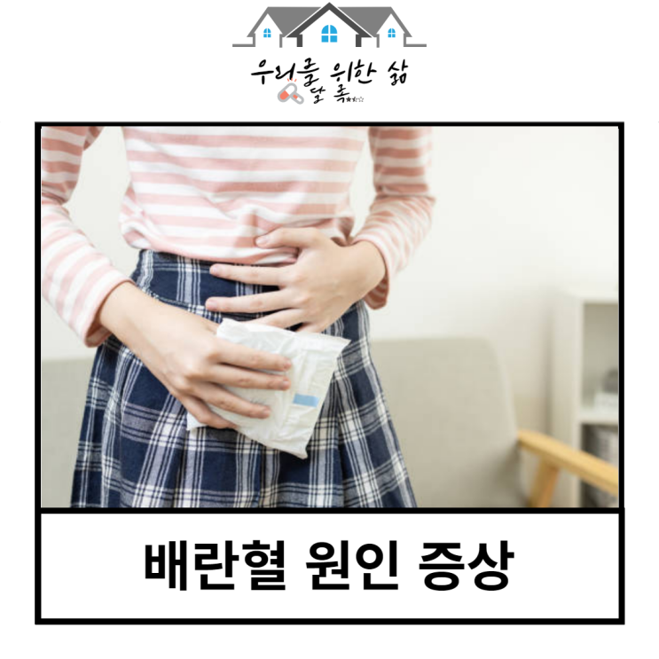  배란혈 원인 시기 증상 양 그리고 착상혈과의 비교