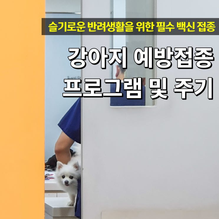  반려동물 예방접종 강아지 고양이 프로그램 및 주기