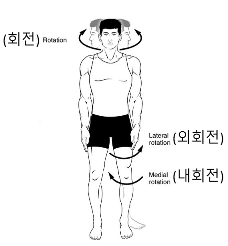 인체의 움직임에 대한 용어 : 네이버 블로그
