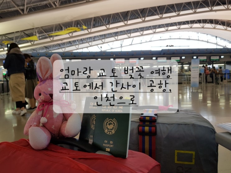  [엄마랑 교토 벚꽃 여행] 교토에서 간사이 공항, 에키벤, 기차역 도시락, 대한항공 기내식