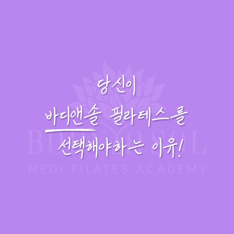 디앤솔 이미지