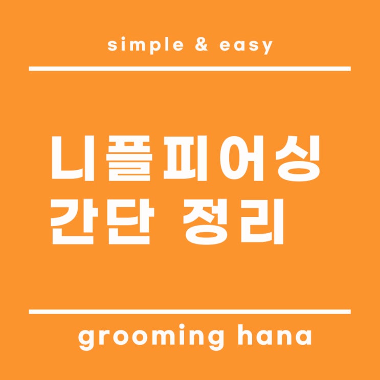  니플피어싱이란? 장점과 위험성 및 주의사항