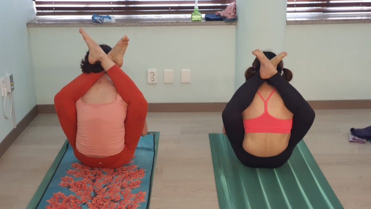  대구 아쉬탕가 요가/ 아쉬탕가 마이솔 요가 인터미디어트 레드 클래스