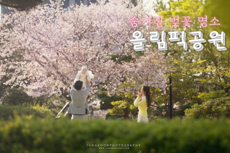  [부산벚꽃명소] 해운대올림픽공원 봄꽃구경 피크닉( 숨겨진명소/ 23년 벚꽃개화시기)