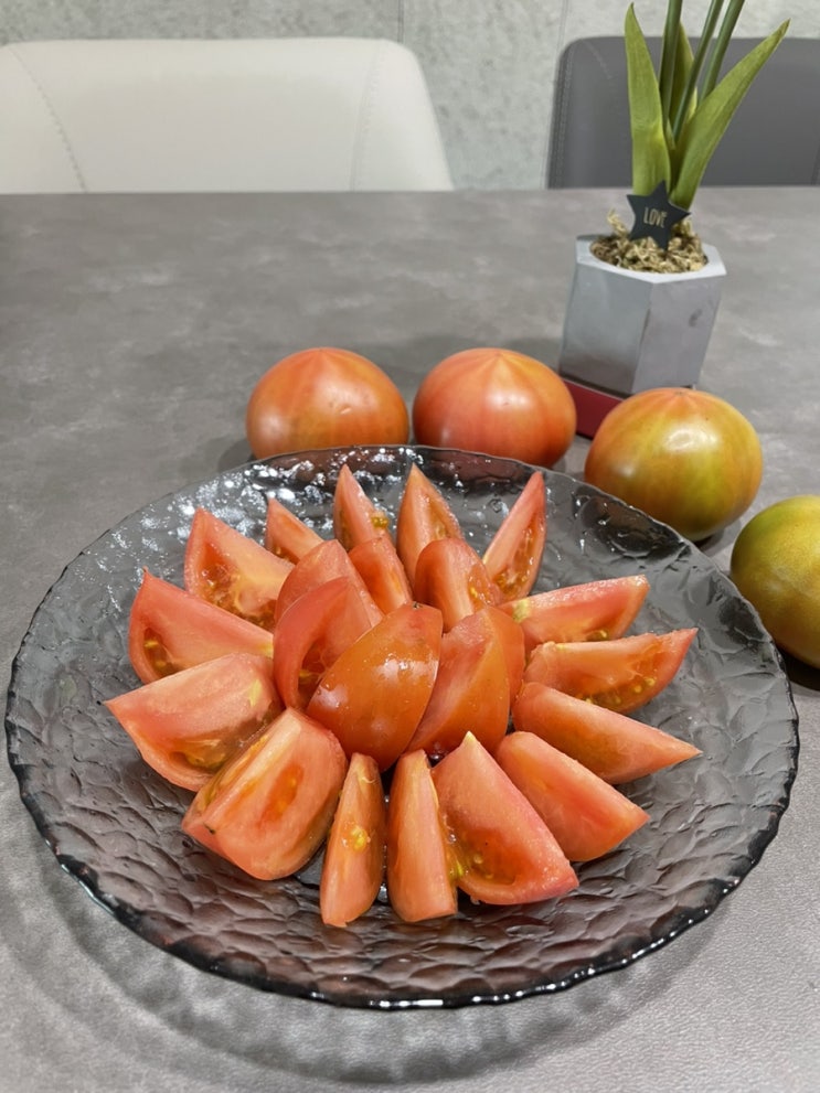  대저 짭짤이 토마토:) 봄 제철과일 단짠단짠 토마토 보관법, 짭짤이토마토 고르는 기준