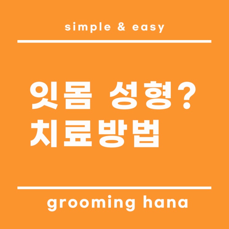  잇몸성형의 이해와 치료방법 정리