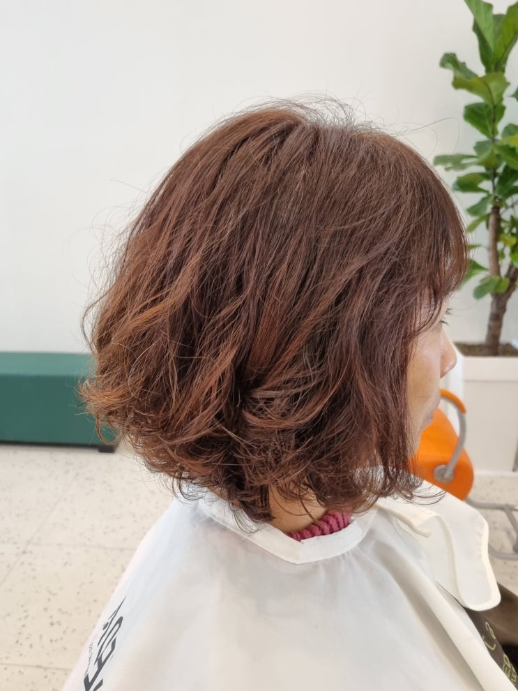  2동탄 미용실 포레스타 동탄점 뿌리염색 재이디자이너