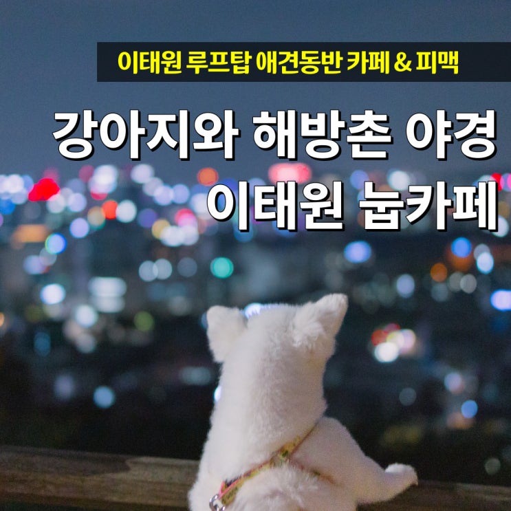  이태원 애견동반 눕카페 해방촌 야경뷰