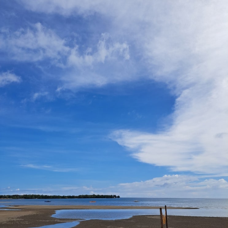  [좌충우돌 세부-보홀 자유여행기⑧-] 오토바이타고 짚라인 타러가기_'팔로 비치 레스토랑' 뷰맛집 보홀맛집 추천