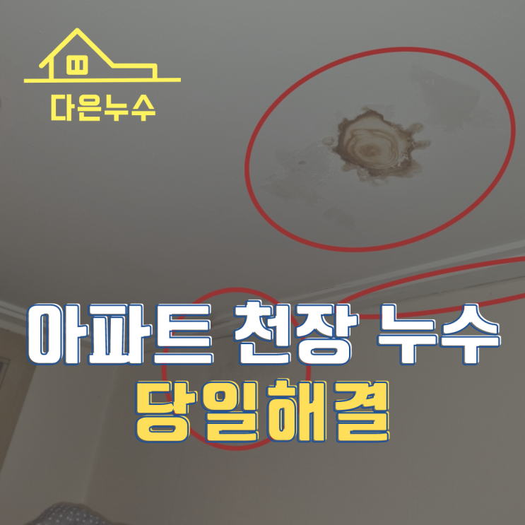  동탄누수탐지업체 - 아파트 천장 누수 탐지와 공사를 당일에!