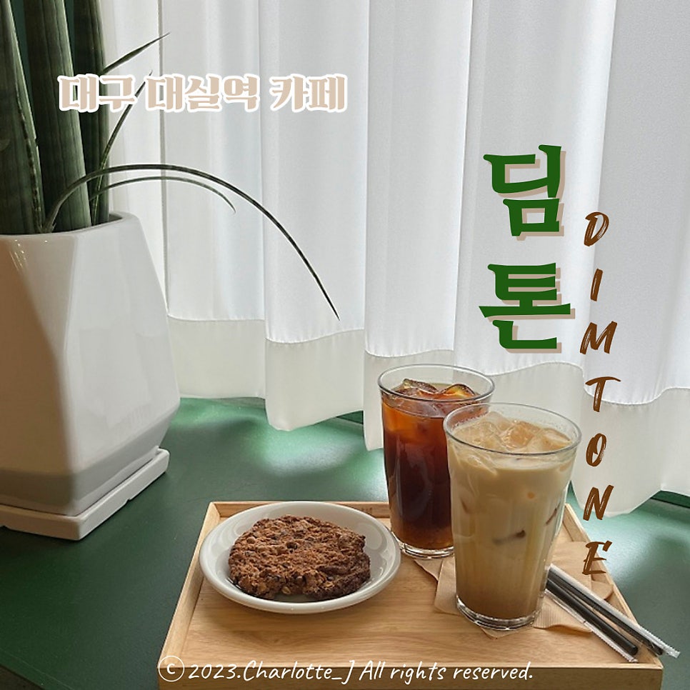 딤톤 사진 1