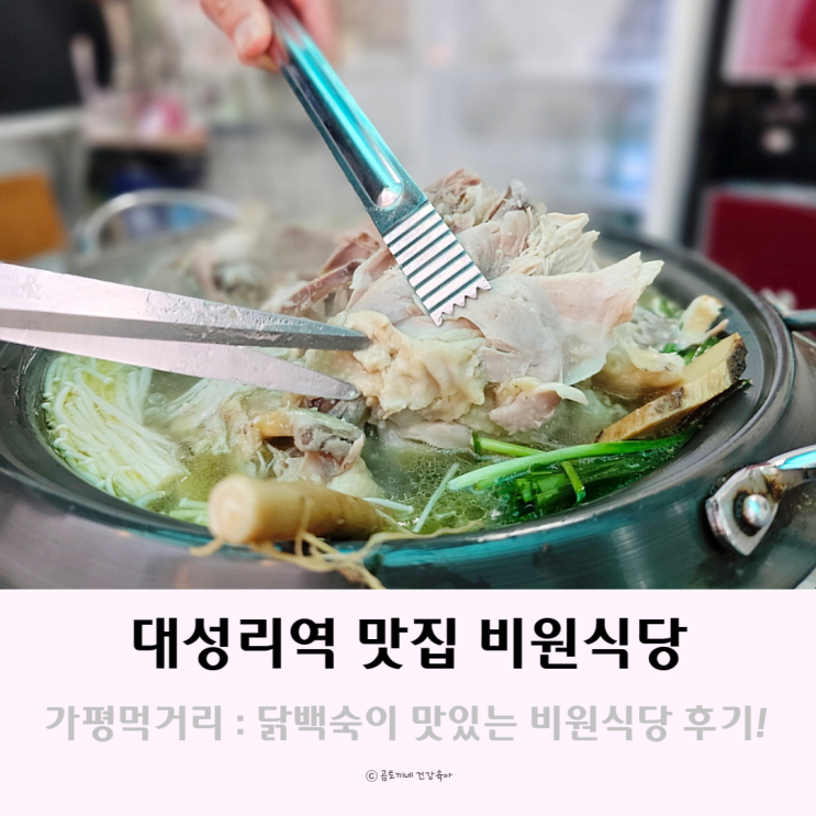 청평 맛집 대성리국민관광지 비원식당 가평먹거리