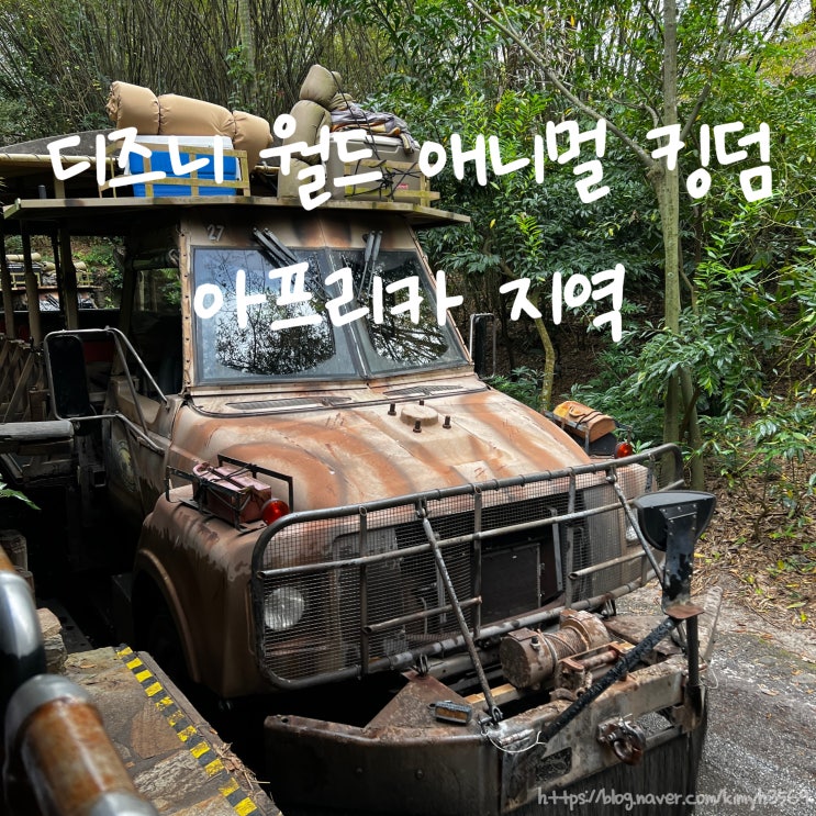  디즈니월드 애니멀 킹덤 사파리, 라이온킹