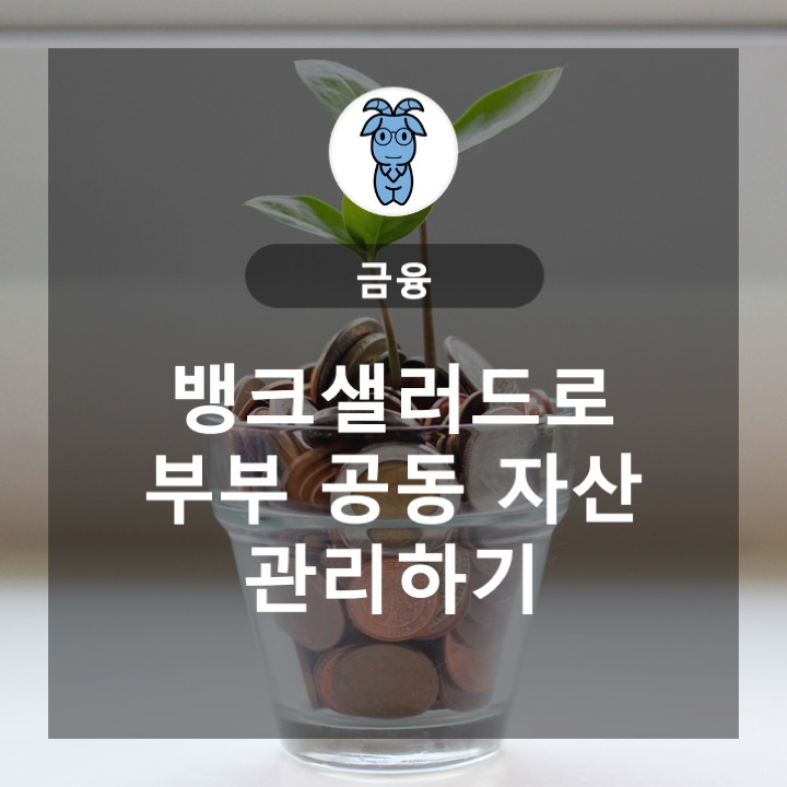 뱅크샐러드로 부부 공동 자산관리하기 뱅크샐러드로 부부 공동 자산관리하기
