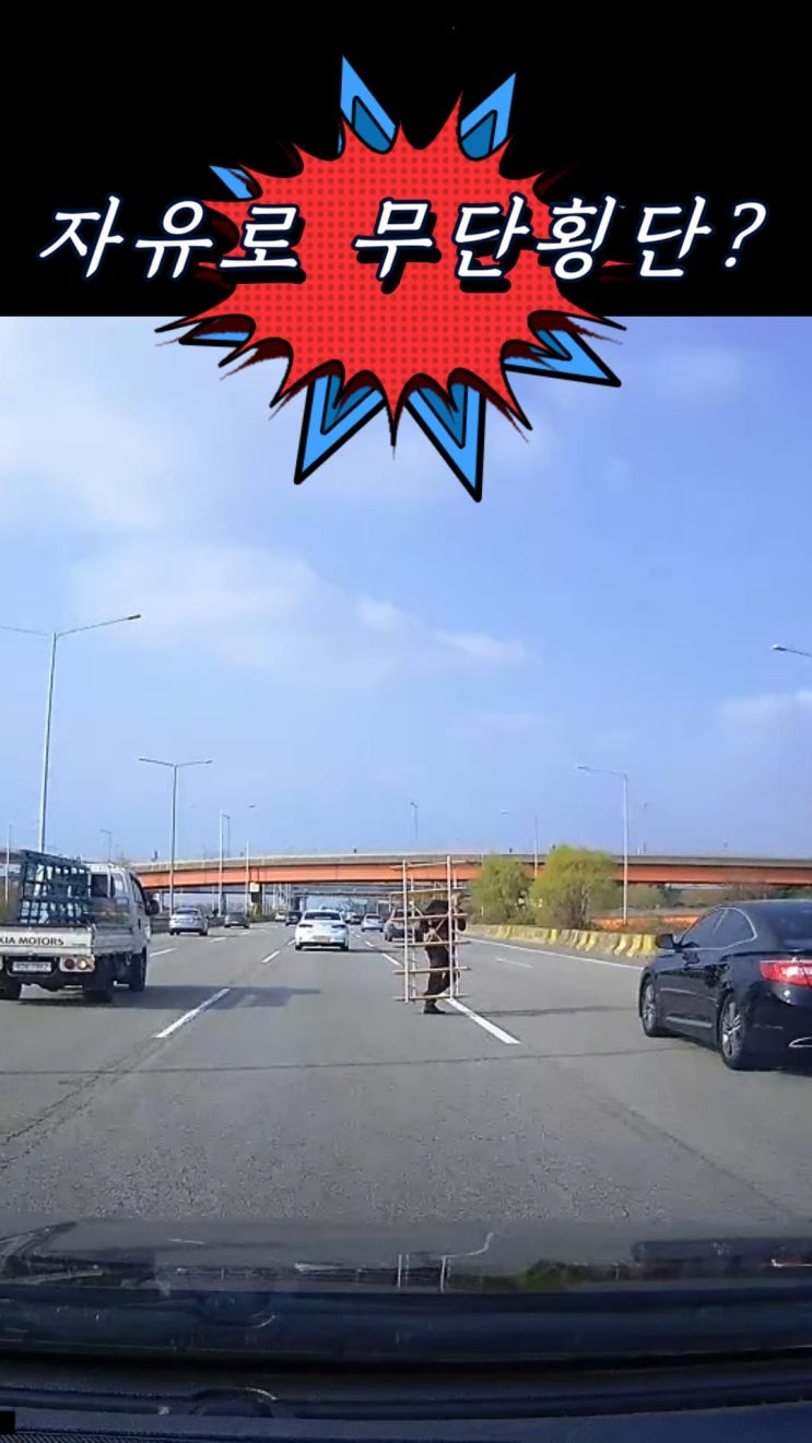 목숨건 자유로 무단횡단... 왜 이러는 걸까요?