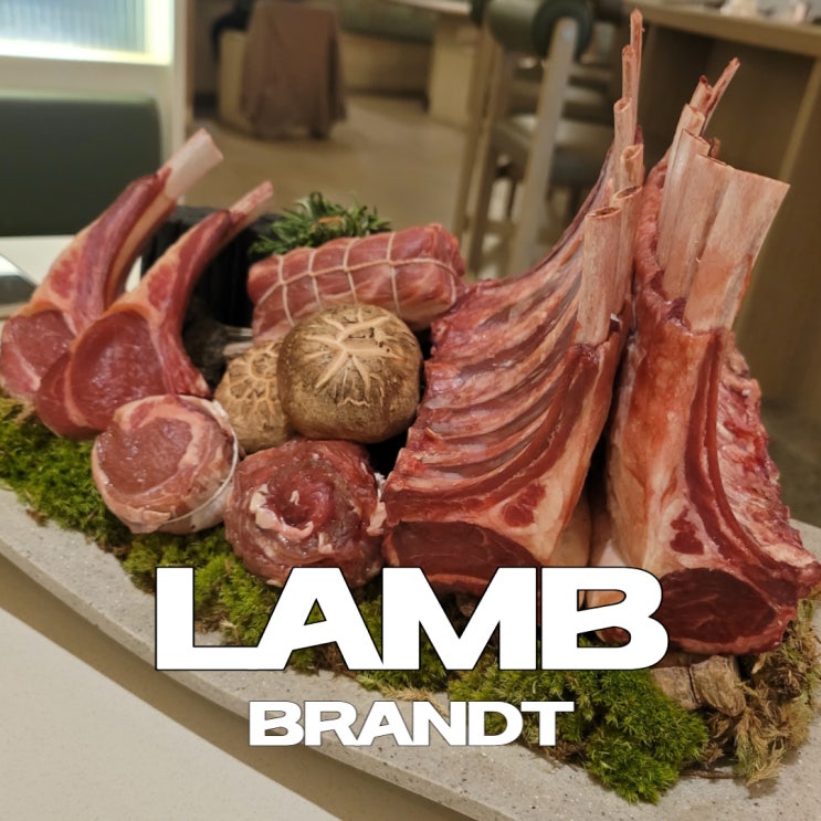  강남 양갈비 맛집 램브란트 데이트 코스 추천!