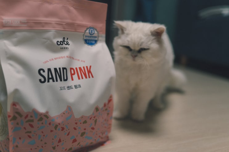 고양이모래 꼬뜨 샌드모래 핑크 후기