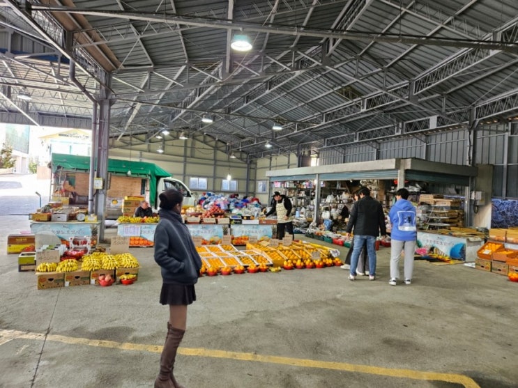  제주 오일장 날짜 시간 & 제주도 서귀포 중문향토오일시장