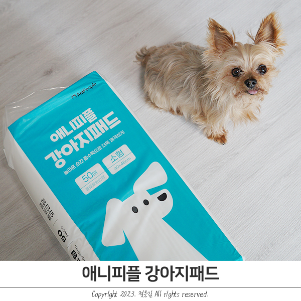 애니피플 강아지패드 소형사이즈 흡수력 굳 애니피플 강아지패드 소형사이즈 흡수력 굳
