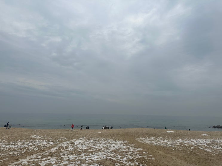  강릉 여행 코스 추천 먹고 마시고 뉴진스! 먹고 마시고 뉴진스!