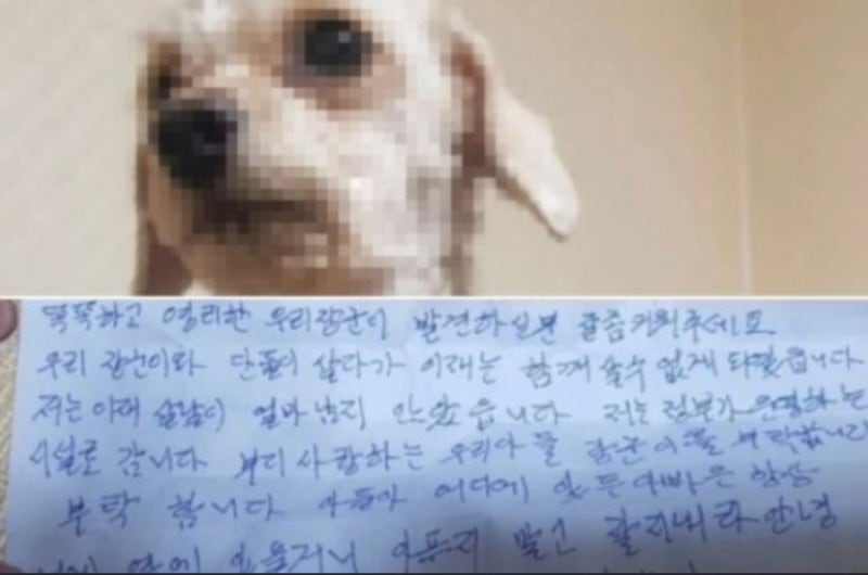 사진 4