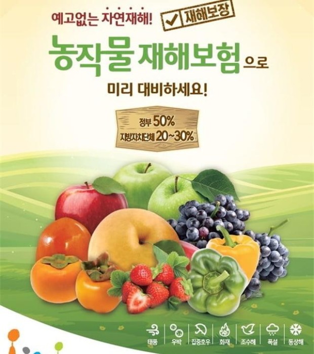  청주 농작물 재해보험 가입 최대 80% 보장 신청 정보