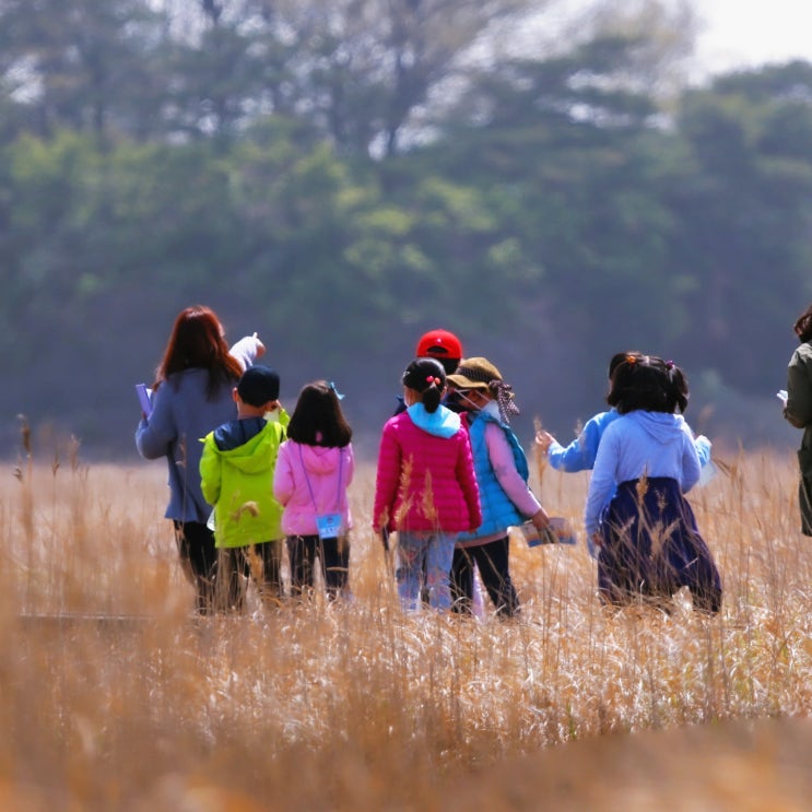 보육교사 자격증 취득방법 (보육교사 3급 / 보육교사 2급 / 보육교사 1급) 보육교사 자격증 취득방법 (보육교사 3급 / 보육교사 2급 / 보육교사 1급)