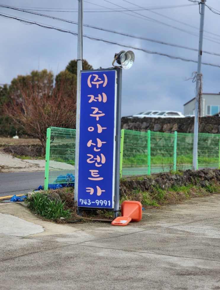  제주도여행 애견동반 저렴한렌터카추천, 제주아산렌트카 내돈내산 4박5일 제주렌트카가격