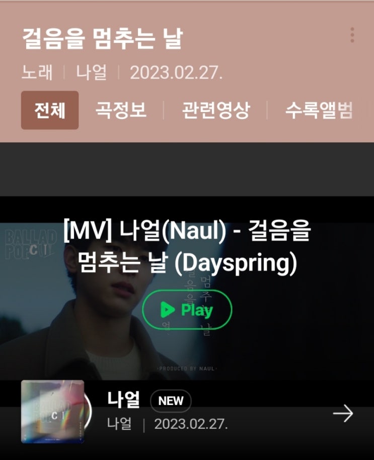  나얼 - 걸음을 멈추는 날