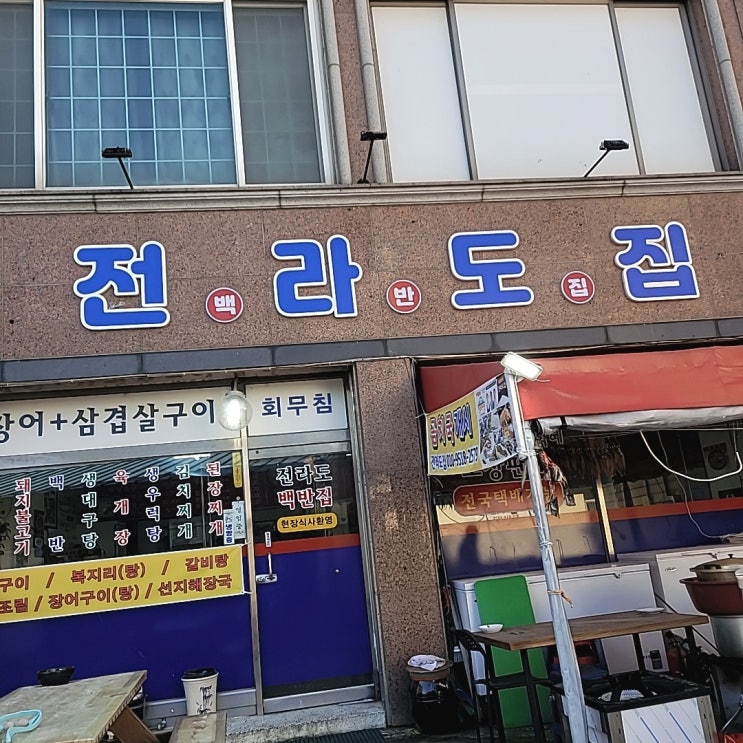사천진항 낚시, <전라도집> 백반, 고양이즈 사천진항 낚시, <전라도집> 백반, 고양이즈