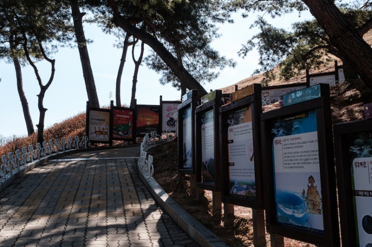  목적의식과 생각하는 삶의 여정