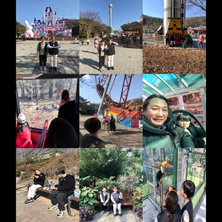 대전 가볼만한곳 대전오월드 사파리 자이언트드롭 와일드스톰 주랜드 버드랜드 자유이용권 할인 가성비 굿