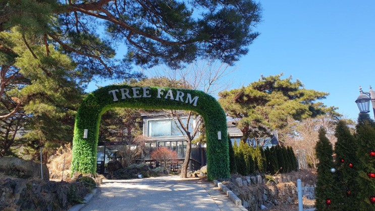 [대구카페/동구카페] 트리 팜 (Tree Farm), 팔공산에 자연 휴양지 카페