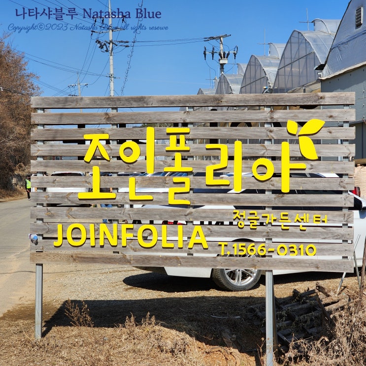  식테크용 희귀식물 많은 파주 애견동반 조인폴리아 화훼단지 가격정보