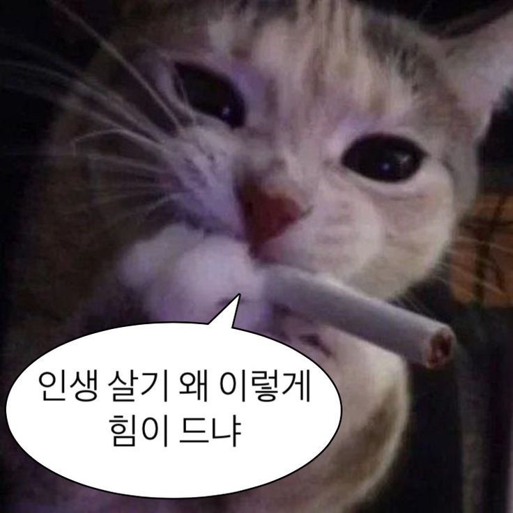 003 고해성사 : 누구나 한번 쯤 인생을 역할 정도로 피워야 한다.