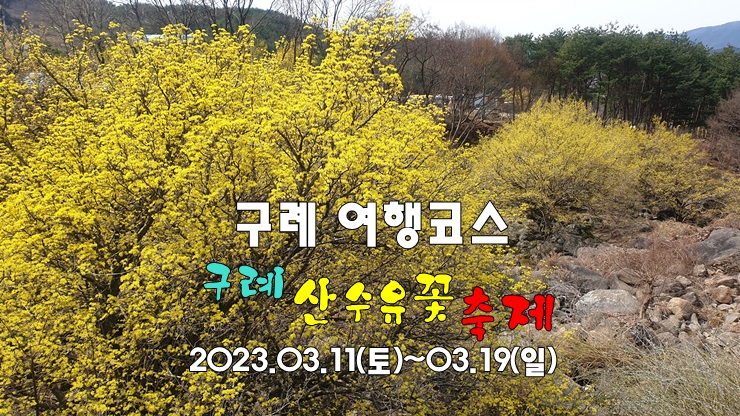 구례 가볼만한곳 구례 여행지 | 구례 산수유꽃 축제 | 구례 산수유 개화시기 구례 가볼만한곳 구례 여행지 | 구례 산수유꽃 축제 | 구례 산수유 개화시기