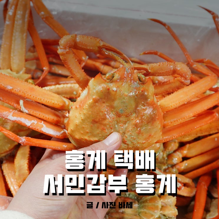  서민갑부 홍게 감동수산 택배로 먹어봤어어요~
